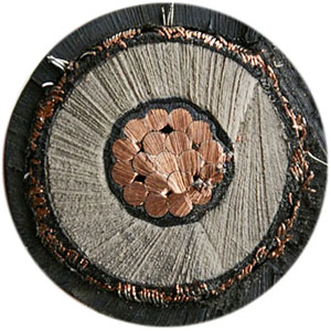 11kv-single-core-xlpe-power-cable-001