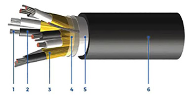 e-cic-tc-tray-instrumentation-300-v